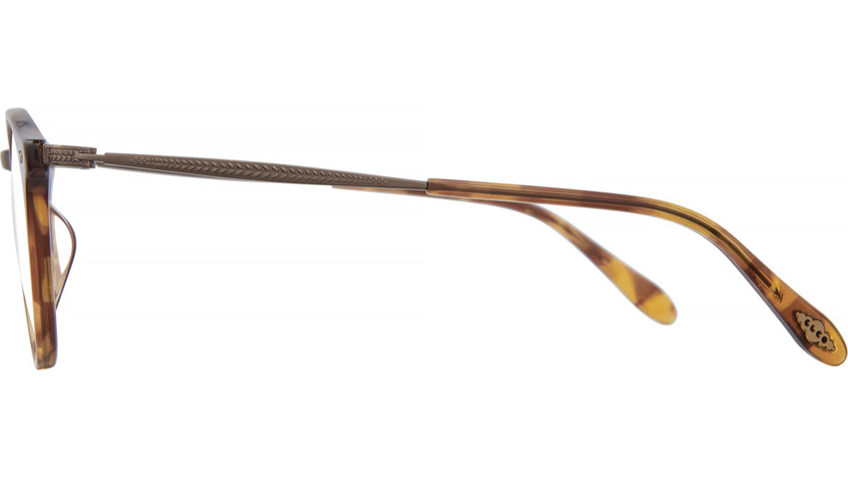 Clune J Hazel Tortoise Gold