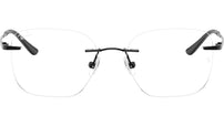 RB8783D Optics 1244