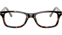 RB5228 Optics 5545