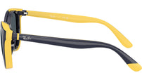 RY1631C 393787
