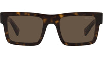 PR 19WS tortoise