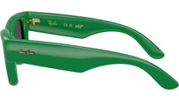 Wayfarer Puffer RB4940 683487