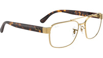 RB3751V Optics 2500