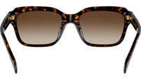RA5312U 500313 Dark Havana