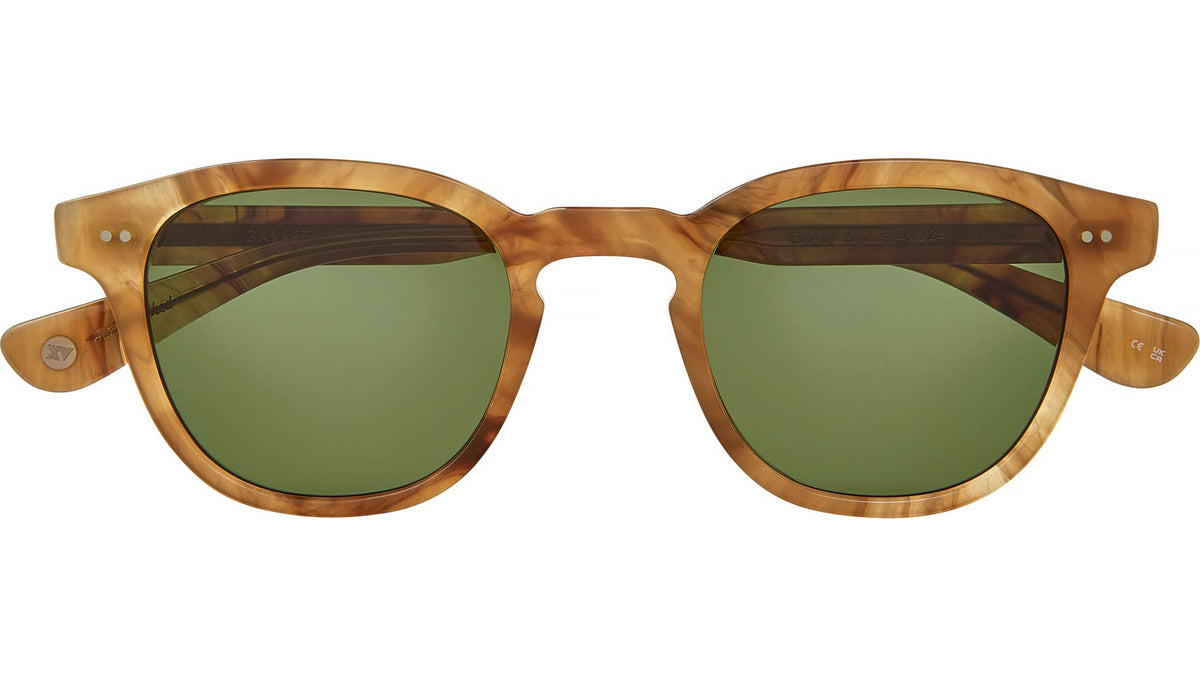 Evan Sun Agave Tortoise