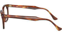 Hawkeye Optics RB5398 2144