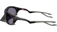 Plantaris OO9437 01