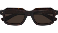 Ray Havana