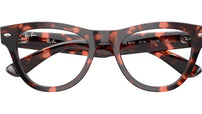 RB5510 Optics 8118