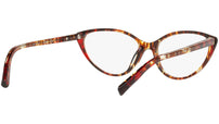3081 004 tortoise