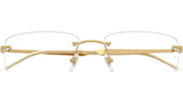 RB3768V Optics 2500