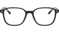 Leonard Optics RB5393 2000