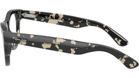 RB5510 Optics 8117