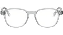 DiorBotanicaO S2I Crystal Geometric Eyeglasses
