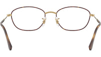 RB3749V Optics 3177