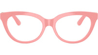 DX 5005U 3098