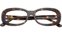 RB2221V Optics 2012