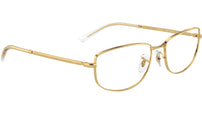 RB3732V Optics 2500