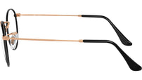 RB3447V Optics 3173
