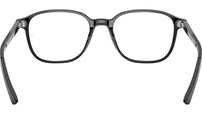 Leonard Optics RB5393 2000