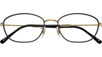 RB3749V Optics 3175