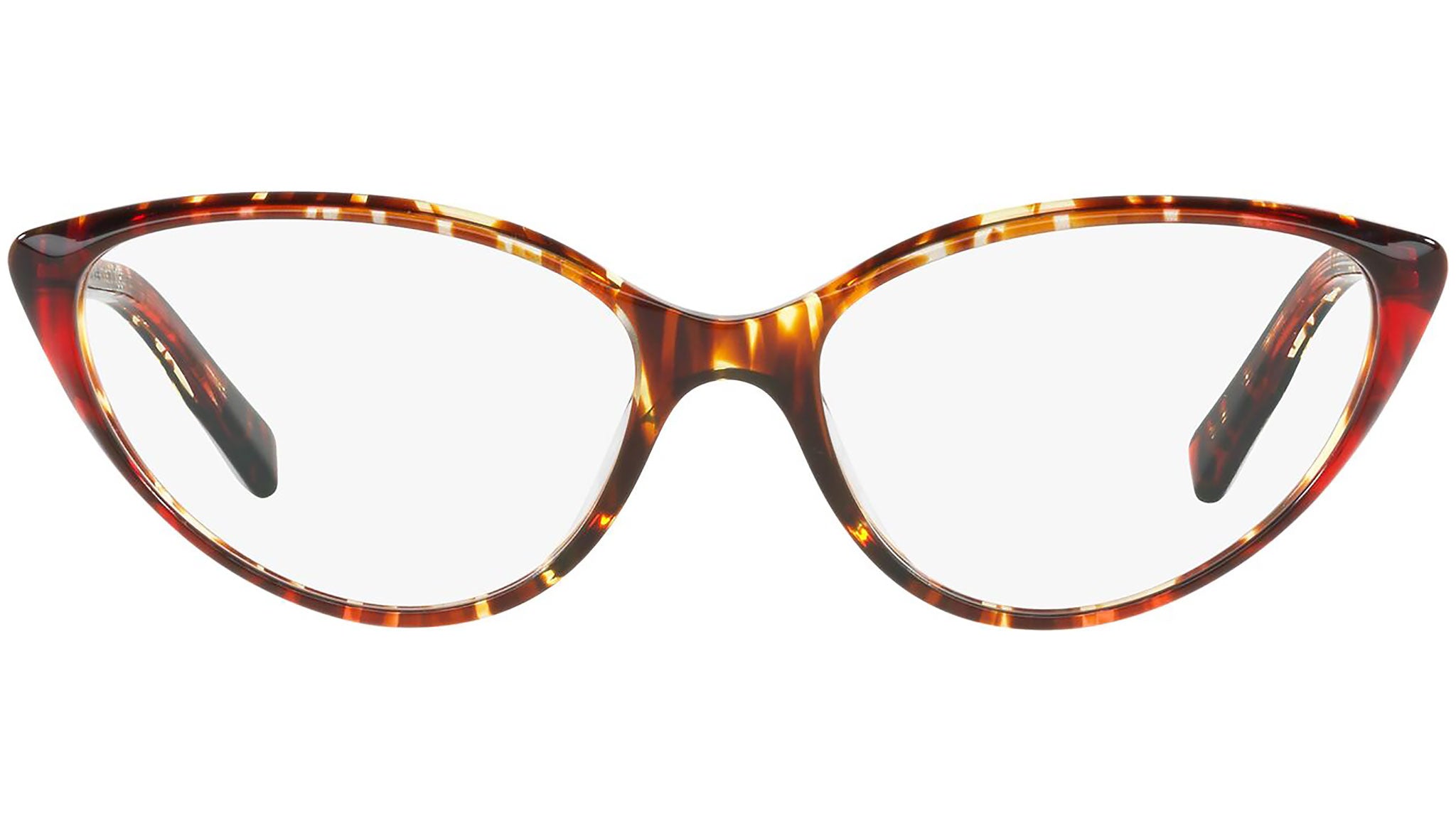 3081 004 tortoise