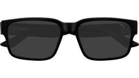 PU0542S 002