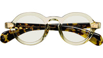 Foygel Citron Tortoise