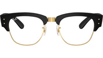 RB7316V Optics 5204