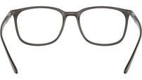 RB7199 Optics 8063