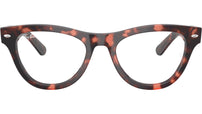RB5510 Optics 8118