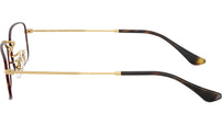 RB6647 Optics 3177
