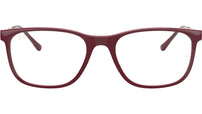 RB7244 Optics 8099
