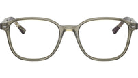 Leonard Optics RB5393 8178
