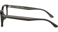 RB5428 Optics 8299