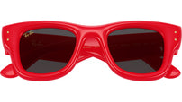 Wayfarer Puffer RB4940 683187