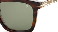 DB 7000/S Brown Horn Green