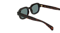 TONDO Classic Havana