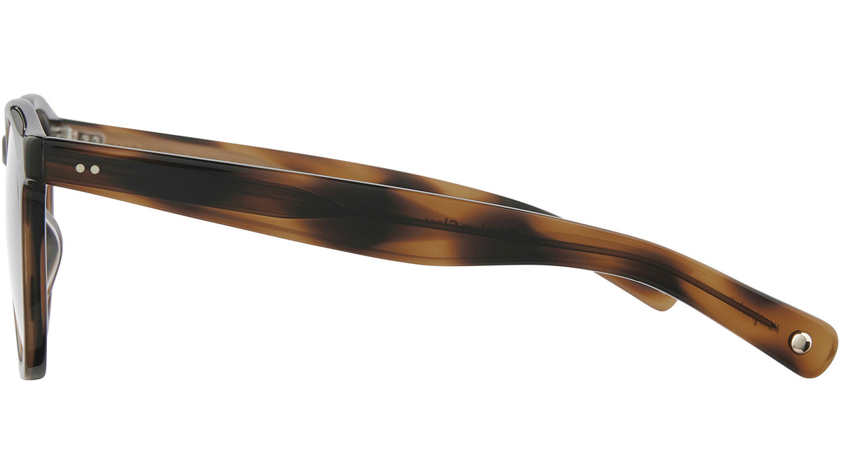 Morningside X Sun Spotted Brown Shell