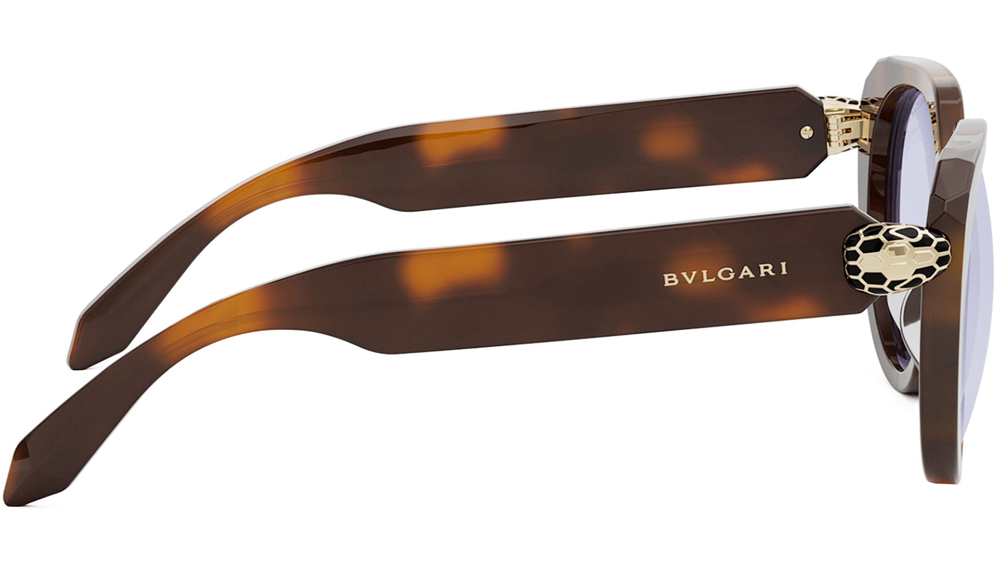 Serpenti Forever Havana Cat Eye Eyeglasses