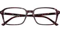 Raimond Optics RB5431 8393