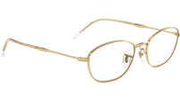 RB3749V Optics 2500