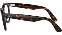 RB2241V Optics 2012
