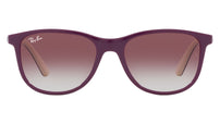 RJ9077S 71348G Purple