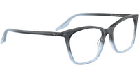 RB5422 Optics 8309