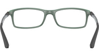 RB7017 Optics 5197