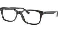 RB5428 Optics 8299