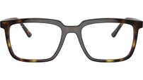 Alain Optics RB7239 2012