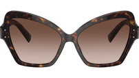 DG 4463 502/13 Havana Brown