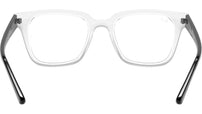 RB4323V Optics 5943